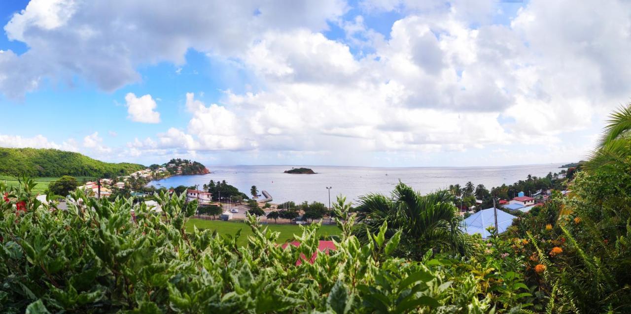 Hotel Le Manguier Morne Pavillon Buitenkant foto